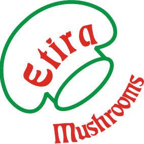 logo-etira